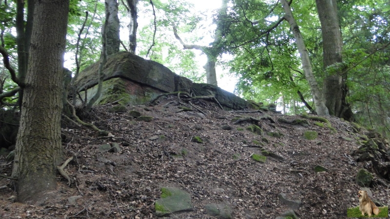 Ritterstein Nr. 271-7 Ruine Wachturm Murrmirnichtviel.JPG - Ritterstein Nr.271 Ruine Wachturm Murrmirnichtviel